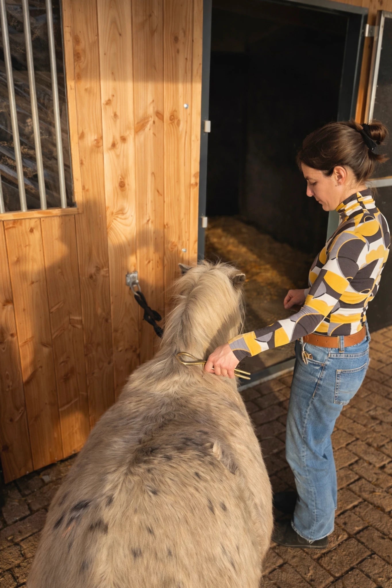 Energetische behandelingen voor paarden met Ankh bij Praktijk Kenda