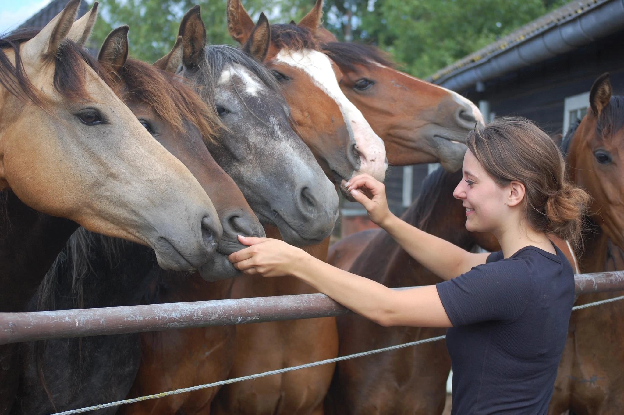 Communicatie met dieren